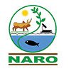 Naro